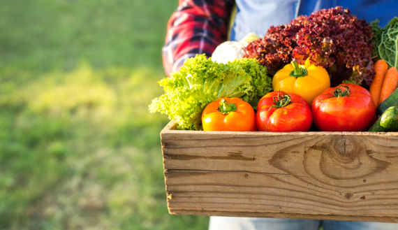 蔬菜有农残就有毒吗？蔬菜的农药残留如何有效去除？