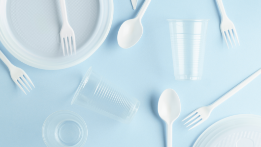 新标实施！《塑料一次性餐饮具通用技术要求》新旧标准差异及企业关注要点